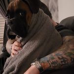 Profile Picture of Justin Mccann (@screamingbuzzer) on Instagram