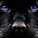 Profile Picture of Jess Page (@jessl43) on Pinterest