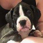 Profile Picture of Stephanie Hembree (@steph81467) on Instagram
