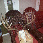 Profile Picture of Dylan Shine (@shinedylan) on Instagram