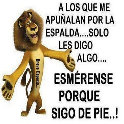 Profile Picture of Emmanuel Quinteros (@Emma23Quinteros) on Twitter