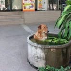 Andy Carrano - Facebook Profile Picture of Andy Carrano (@andrew.carrano.777) on Facebook