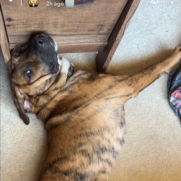 Profile Picture of Lianne Theroux (@lillyisbaee) on Poshmark