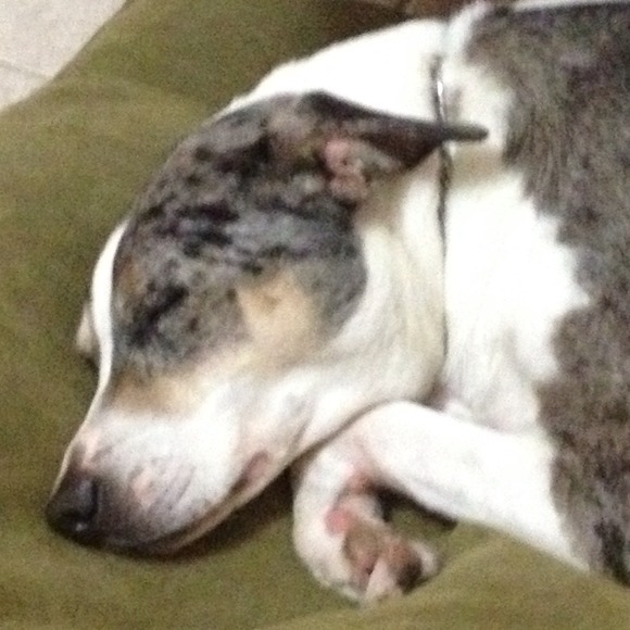 Profile Picture of Dani Gonzalez (@flordafreak) on Poshmark