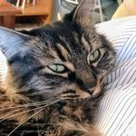 Profile Picture of Albert Guenther (@guenthera796) on Instagram