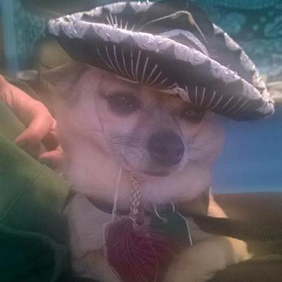 Profile Picture of Sean Trigg (@alwaysplaying67) on Twitter