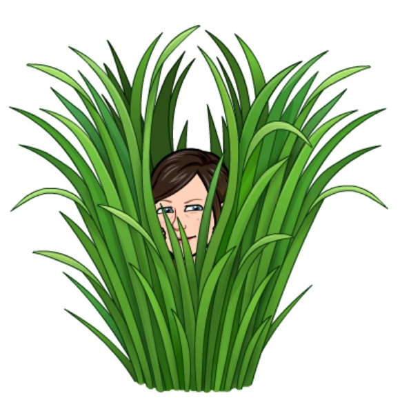 Profile Picture of Elizabeth Elfner (@elfmama44) on Poshmark