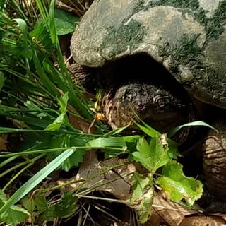 Profile Picture of Isaac Vandermolen (@vandermolenisaac) on Instagram