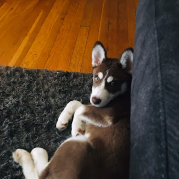 Profile Picture of Heather Friedline (@heatherfc93) on Poshmark