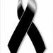Profile Picture of Paul Burda (@burda2) on Pinterest