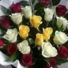 Profile Picture of Hanan Adam (@HananAdam14) on Twitter