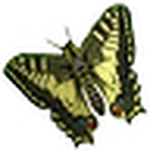 Profile Picture of Shannon Everett (@everett photography) on Flickr