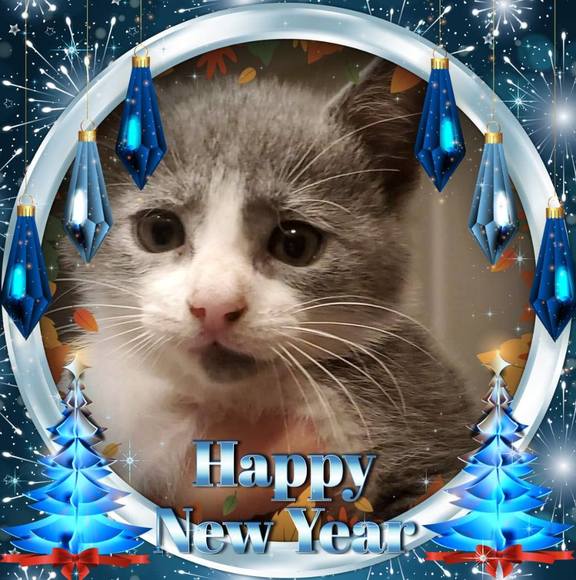 Profile Picture of Yvette Corchado (@yvipr35) on Poshmark