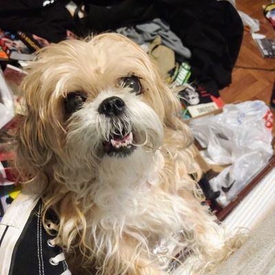 Profile Picture of Kevin Charley (@KevinCharley14) on Twitter