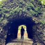 Profile Picture of Steve Meeks (@thestevemeeks) on Instagram