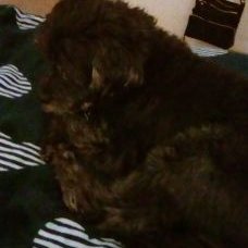 Profile Picture of Sharon Stratton (@SharonS96912024) on Twitter