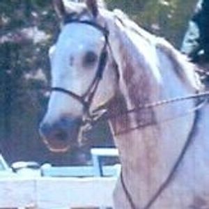 Profile Picture of Meredith Britt (@wrathygirl101) on Myspace