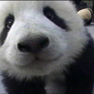 Profile Picture of Bekir Aksoy (@bekiraksoy15) on Twitter