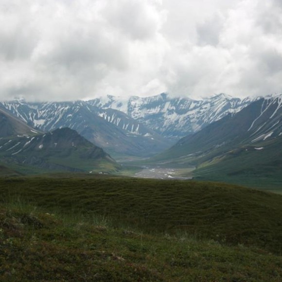 Profile Picture of Stephanie Tuason (@stephanietuason) on Poshmark