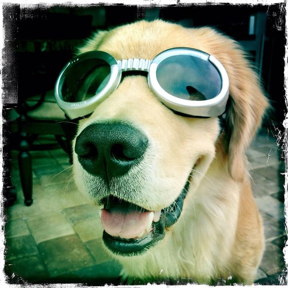 Profile Picture of Daniela Cervera-rupp (@dancervera) on Poshmark