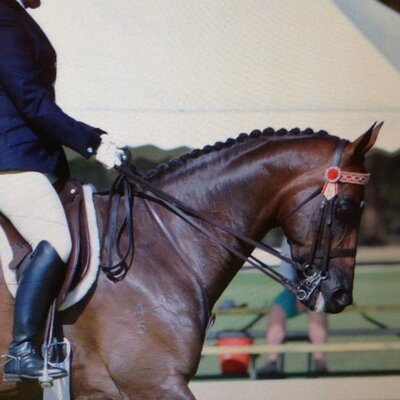 Profile Picture of Paula Heffernan (@HeffernanPaula) on Twitter