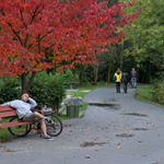 Profile Picture of carline james (@carline9304nq) on Instagram