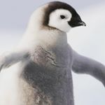 Profile Picture of Matthew Dehoyos (@matthewdehoyos11) on Instagram