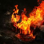 Profile Picture of Nicholas  Saucedo (@nico.gomez981) on Instagram