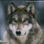 Profile Picture of Leonard Bradford (@bradfordleonard) on Instagram