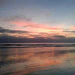 Profile Picture of David Megee (@percussiondave) on Instagram