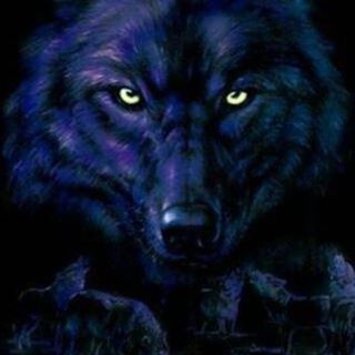 Profile Picture of Bryan Fetner (@bryan.fetner.9) on Facebook