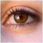 Profile Picture of Tracy Doyle Bailey (@tracy2cold) on Pinterest