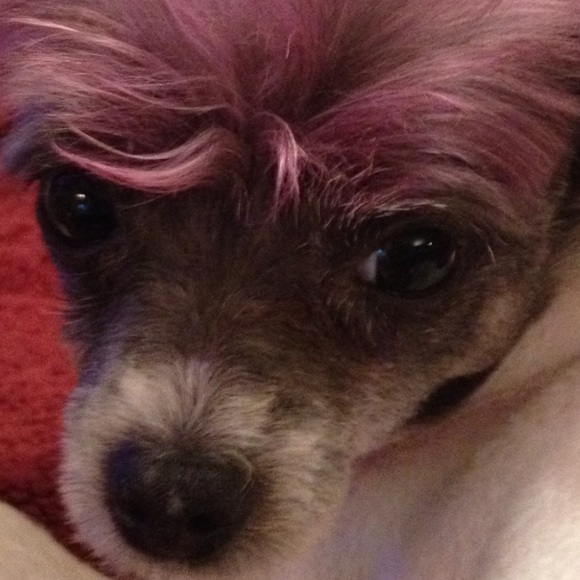 Profile Picture of Pamela Walker (@tiaraclub) on Poshmark