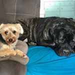 Profile Picture of Jami Fischer Ribeiro (@jami.ribeiro) on Instagram