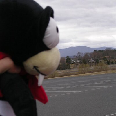 Profile Picture of William Orndorff (@Uninter_facts) on Twitter