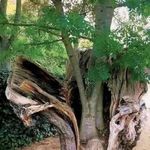 Profile Picture of michelle groyeu (@michelle_groyeu13) on Instagram