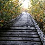 Randy & Megan Miller - Instagram Profile Picture of Randy & Megan Miller (@gauleyrivercreations) on Instagram