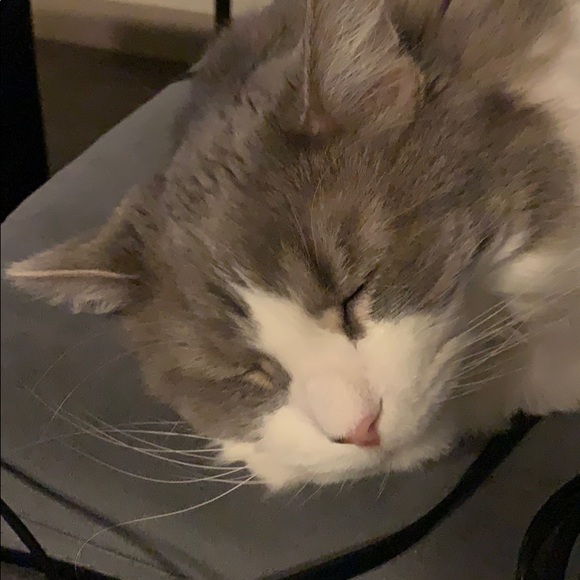 Profile Picture of Chris Reece (@reece1971) on Poshmark