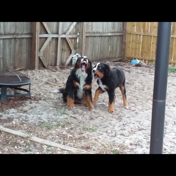 Profile Picture of Brian Boblick (@justkeepdigging) on Poshmark