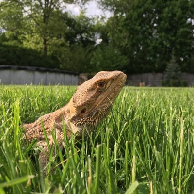 Profile Picture of Liam Kulikowsky (@KulikowskyLiam) on Twitter