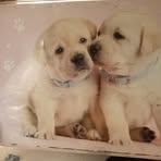 Profile Picture of Christopher Brun (@Christopher-Brun) on Facebook