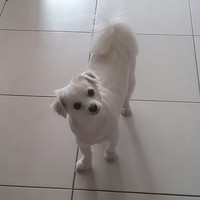 Profile Picture of Cassandra Tanner (@cassandra-tanner-4) on Quora