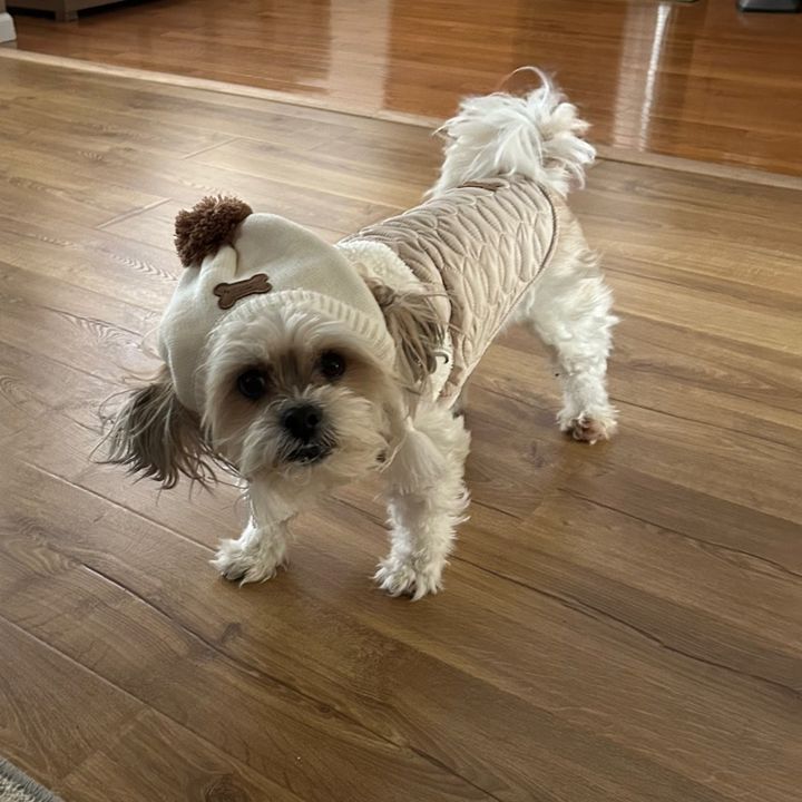 Profile Picture of Christopher Thomas (@@cthomas109) on Tiktok