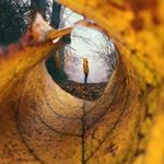 Profile Picture of •Ingrid Alvarez/fotografía• (@ia_photography18) on Instagram