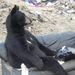Profile Picture of Bobby Padie Jr. (@bobby7830) on Pinterest