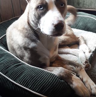 Profile Picture of James Lummen (@james.lummen.18) on Facebook