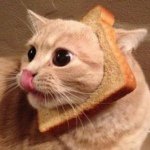 Profile Picture of Austin Roddy (@austin_atr) on Instagram