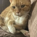 Profile Picture of Joseph Kreutz (@Joseph-Kreutz) on Facebook