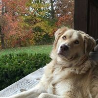 Profile Picture of Alex Shea (@alex-shea-2) on Quora