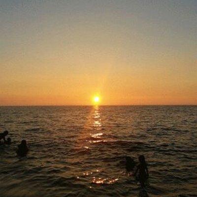 Profile Picture of AL Harmon (@myimfo87654369) on Twitter